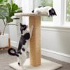 13 DIY Cat Scratcher Ideas