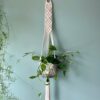 13 Macrame Wall Plant Hanger Free Patterns