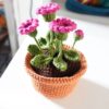 15 Crochet Flowering Houseplants Free Patterns