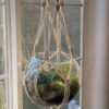 5 Macrame Hanging Terrarium Free Patterns