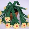 8 Crochet Christmas Cactus Free Patterns