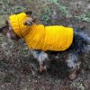 8 Crochet Dog Hooded Sweater Free Patterns