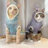 9 Crochet Cat Sweater Free Patterns