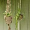 9 Macrame Succulents Hanger Free Patterns